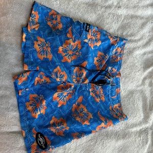 Mens Blue Planet board shorts like new
